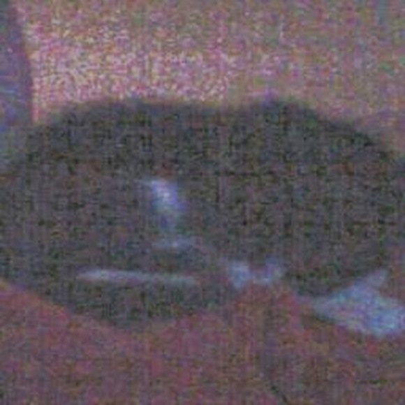shianne_c